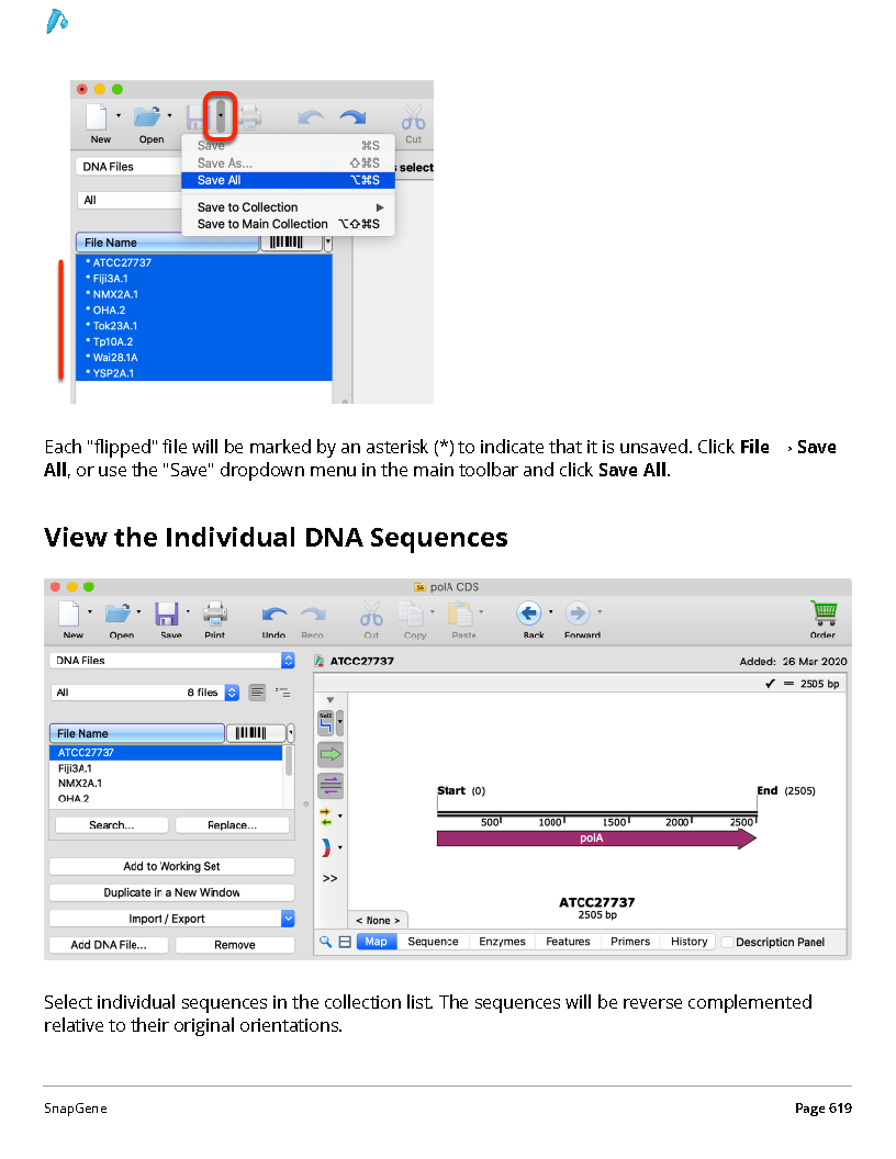 ../_images/SnapGene_页面_619.png
