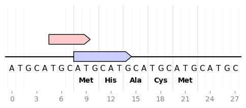 ../_images/sequence_and_translation.png