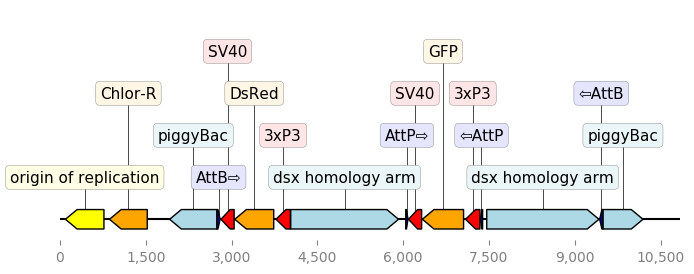 ../_images/translator_with_custom_colors.png
